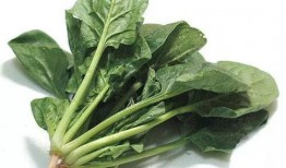 菠菜最新爆料,揭秘娱乐圈惊人内幕