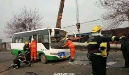 石家庄公交车最新爆料,最新线路调整与爆料揭秘