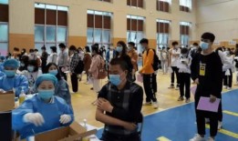 沛县狗市爆料最新消息新闻,揭秘市场动态与行业现状