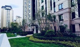 长春合隆小区最新爆料,揭秘神秘事件背后的真相