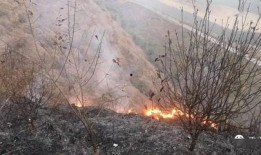 狮子山爆料视频最新版下载,揭秘事件真相，下载观看