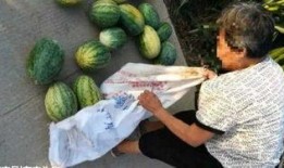 吃瓜最新事件爆料沂水,揭秘吃瓜事件背后的真相