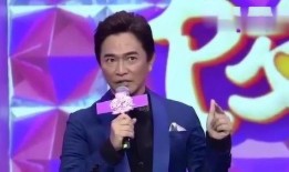 爆料男星视频大全下载最新,最新爆料男星视频大全下载全解析